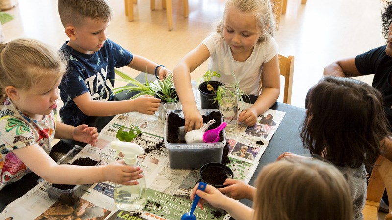 Barn planterar växter.